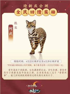 征天天龙八部私服